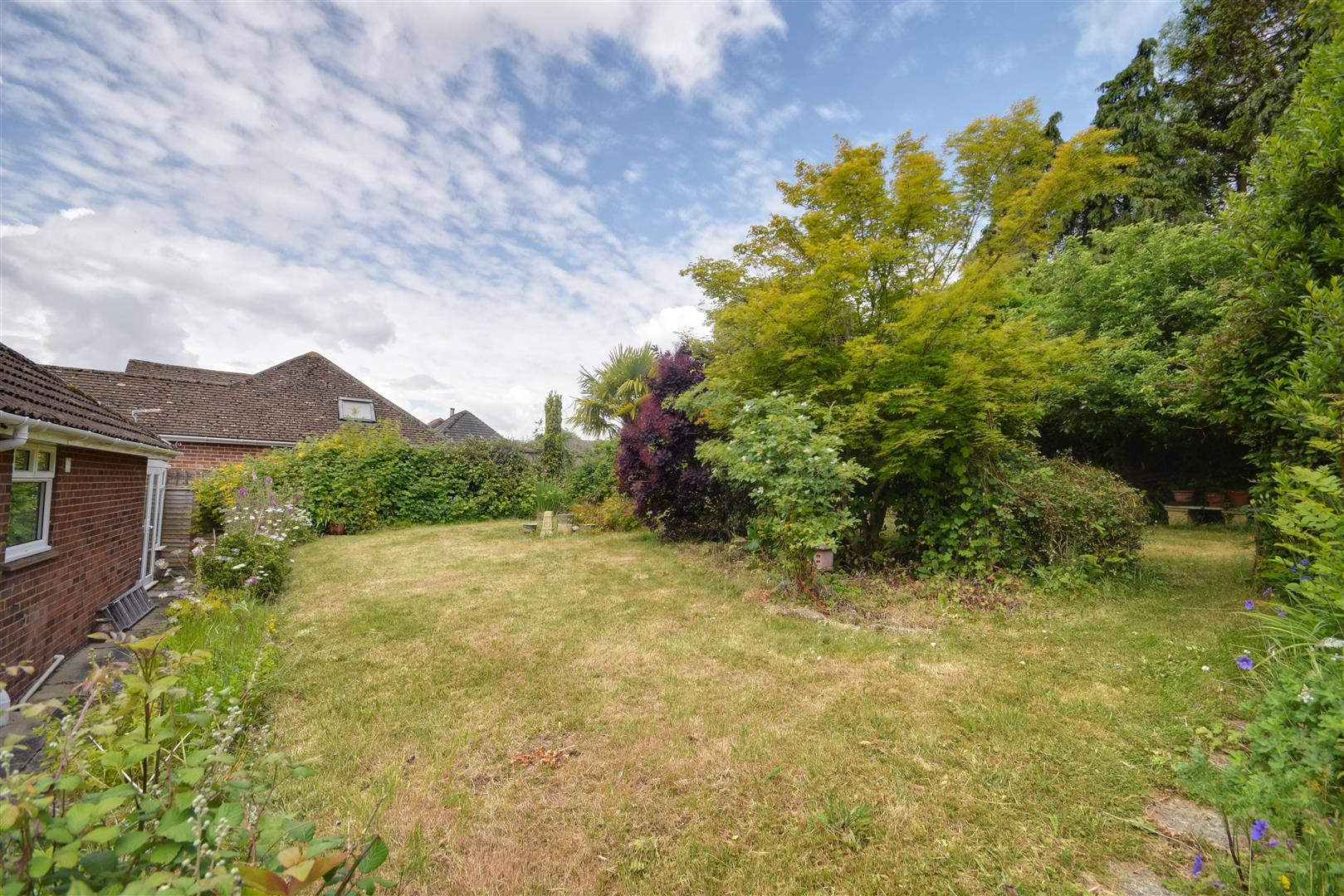 New Road, Mill Corner, Northiam Rush, Witt & Wilson